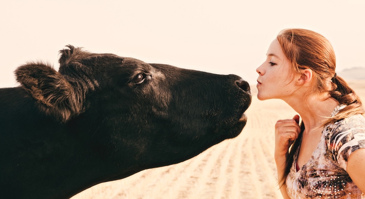 Salon de l'Agriculture