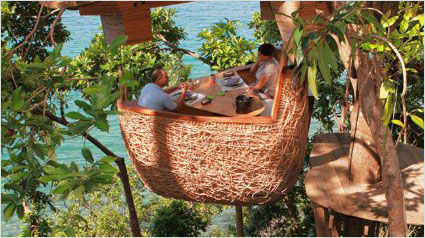 déjeuner-arbres-jpg