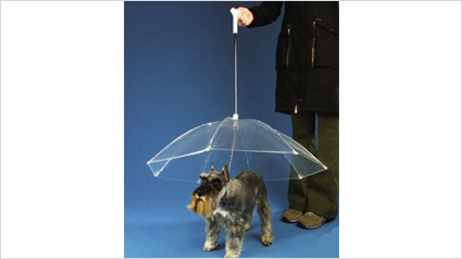 trnd-france-un-temps-de-chien-jpg