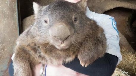 trnd-marketing-collaboratif