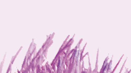 2011-05-05_trnd-fr_piste-nouveau-projet