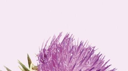 trnd-fr_piste-nouveau-projet2