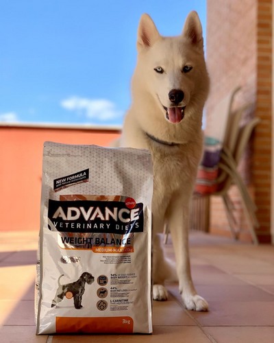 Photo envoyée par mia_littlehusky