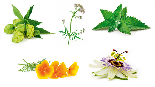 Les laboratoires ARKOPHARMA ont développé une solution naturelle, avec 5 extraits de plantes (houblon, valériane, mélisse passiflore, eschscholtzia) associés à la mélatonine et à la vitamine B6 pour nous permettre de retrouver un sommeil réparateur. 