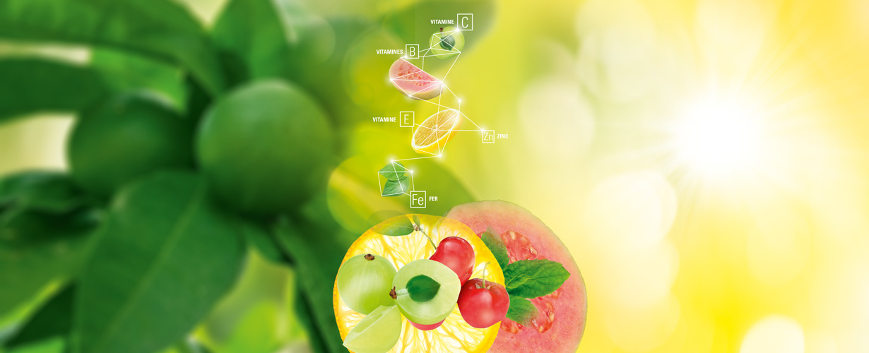 ARKOVITAL® PUR’ENERGIE MULTIVITAMINES combine 2 actions complémentaires : réduit la fatigue physique(1) et aide à maintenir de bonnes défenses naturelles(2). 