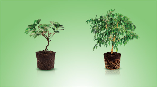 … à observer dès 7 jours d’utilisation !