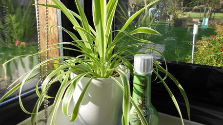 Finissons notre Top projet en toute beauté !