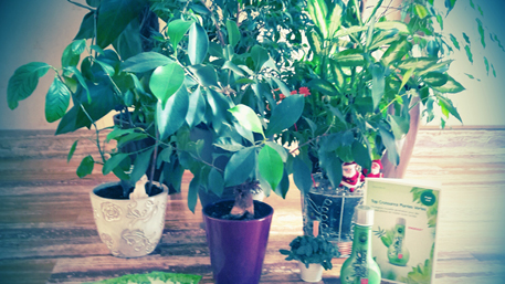 Découvrons ensemble...