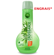 Top Croissance Plantes Vertes