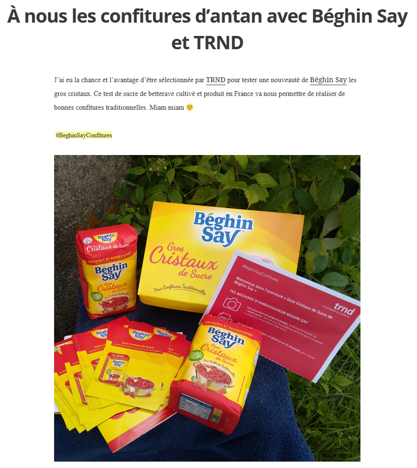 Avis blog personnel Béghin Say Gros Cristaux de Sucre