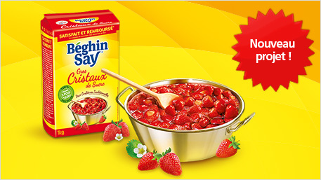 Gros Cristaux de Sucre de Béghin Say