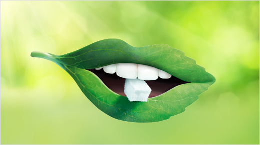 Ligne au Sucre & aux extraits de Stévia de Béghin Say, c’est la rencontre d’un bon sucre pour le plaisir et des extraits de plante de Stévia, sans calorie, pour l’équilibre.