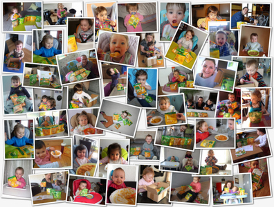 Participants Bledina