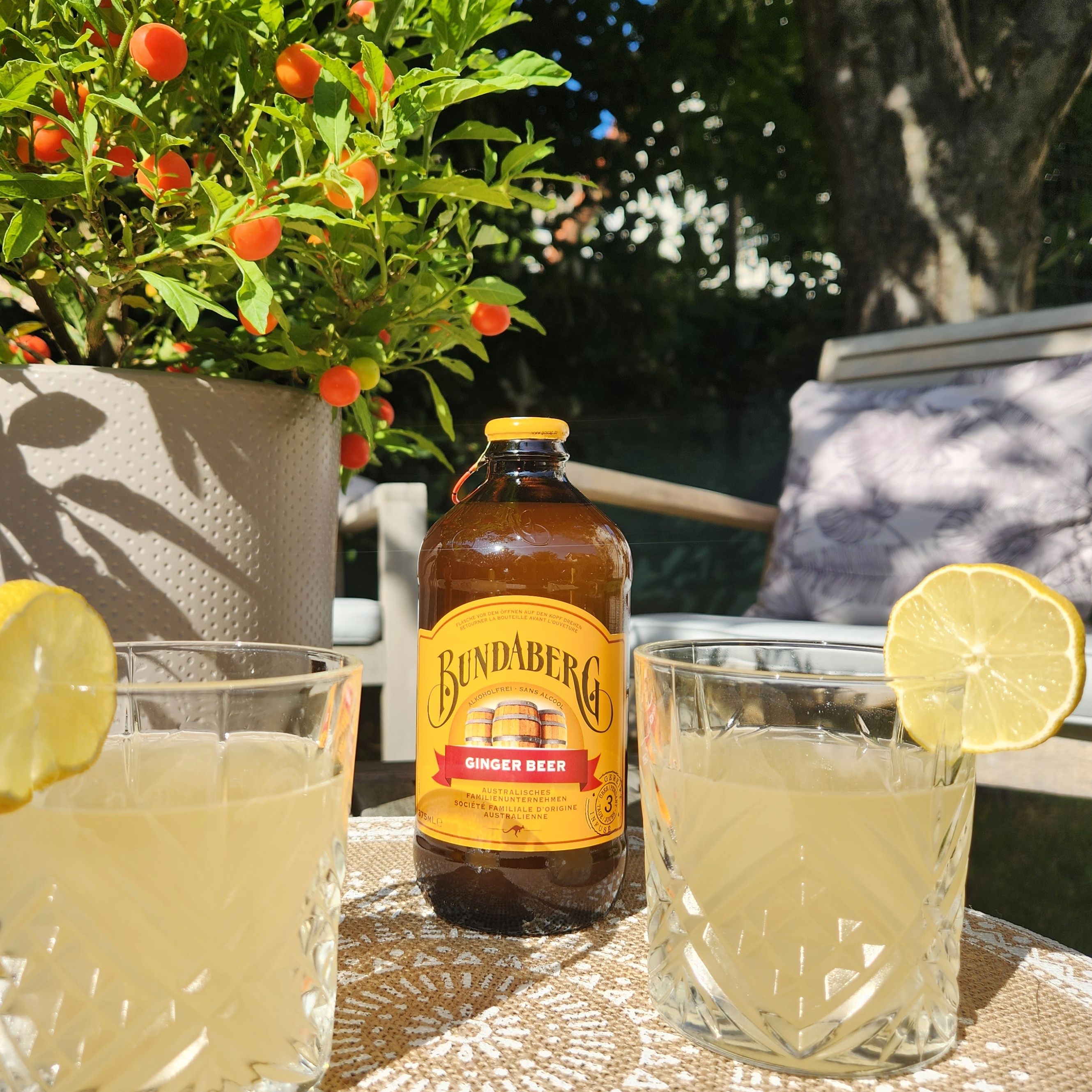 pause fraicheur bundaberg