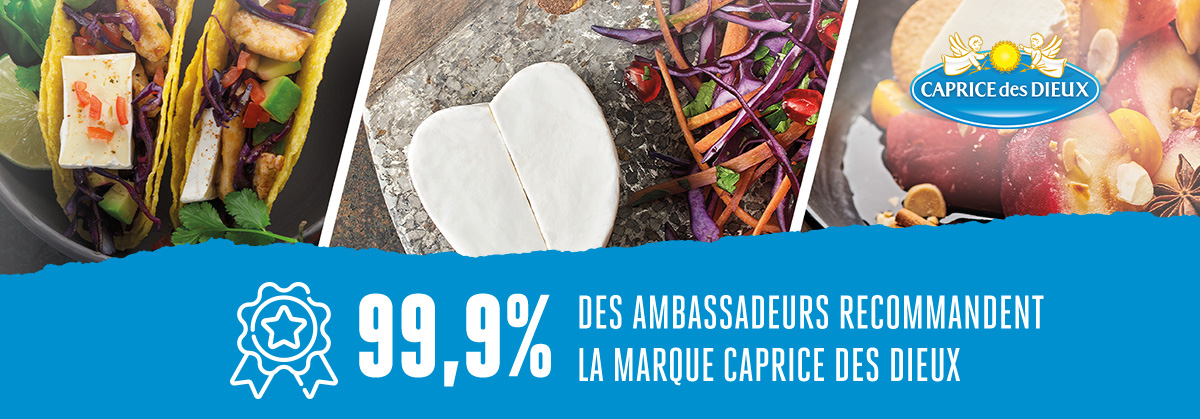 Blogdesign Caprice des Dieux