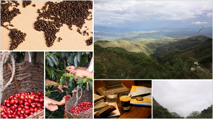 opinion-lobodis-capsules-cafe-compatibles-nespresso-commerce-equitable-pure_origine_carte