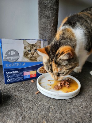 Carrefour Companino Expert