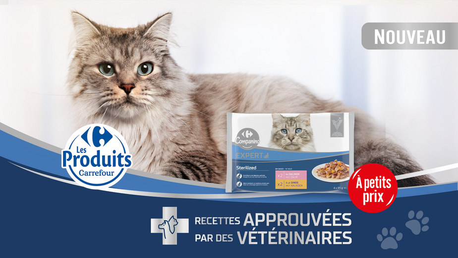 Carrefour Companino Expert 