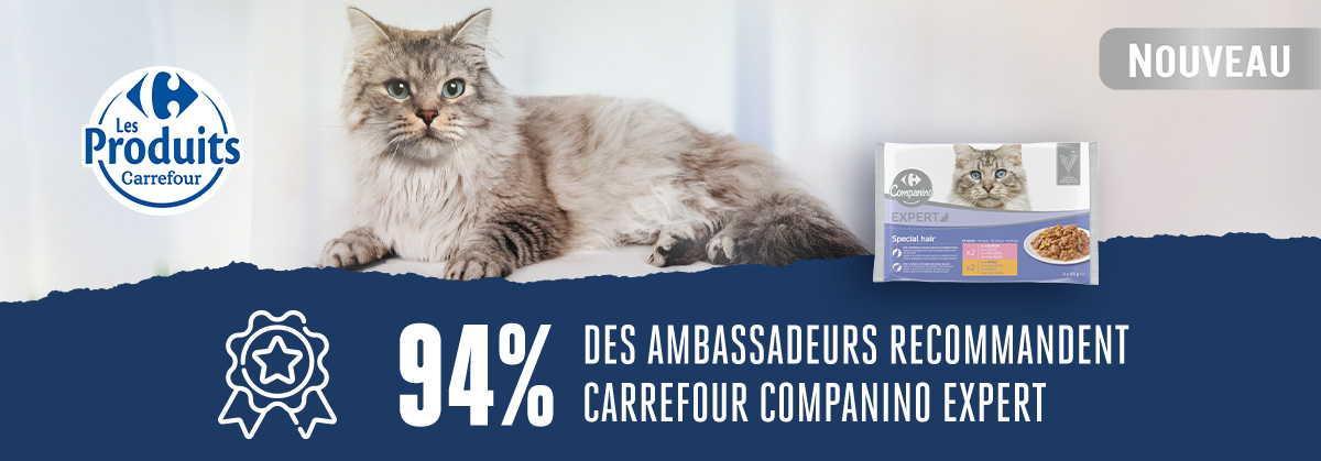 Carrefour Companino Expert Chats