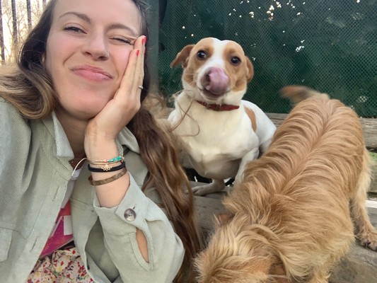 Carrefour Companino Expert 