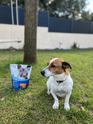 Carrefour Companino Expert 