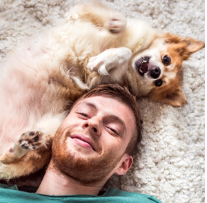 Carrefour Companino Expert 