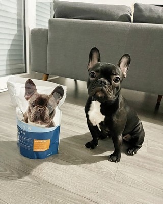 Carrefour Companio Expert