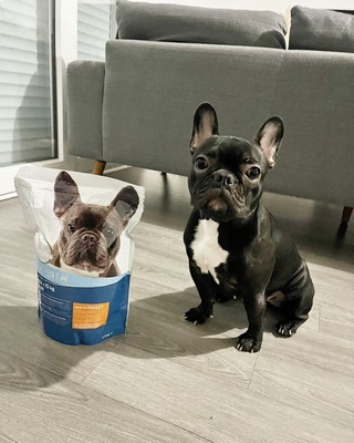 Carrefour Companino Expert