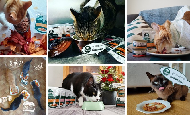 DEVIENS CRITIQUE CULINAIRE !