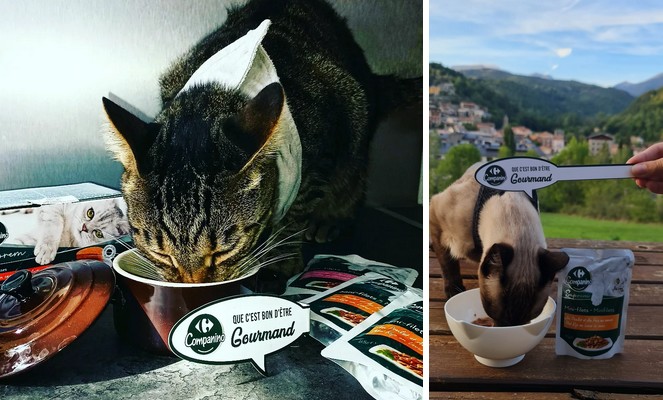 Carrefour Companino Suprem 