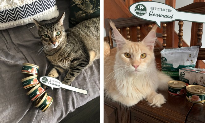 Que c'est bon d'être gourmand !