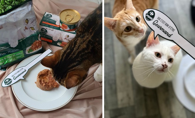 Invite tes proches à te rejoindre dîner !