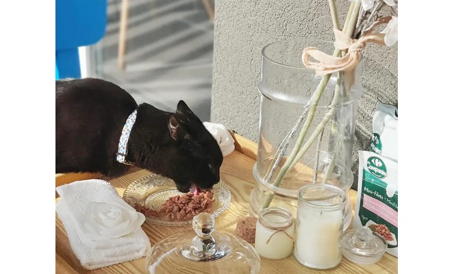 LES MEILLEURS RESTAURANTS, ÇA SE PARTAGE !