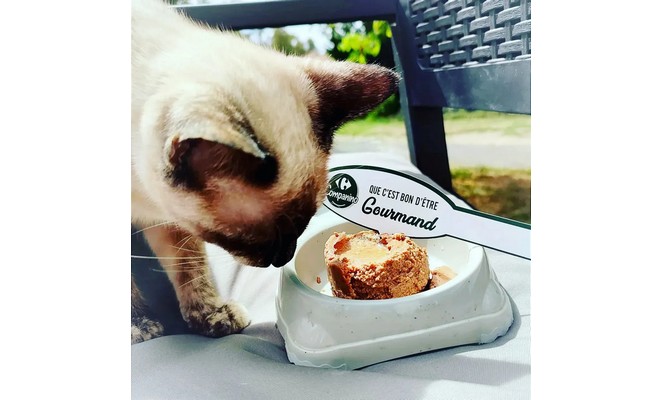 Carrefour Companino Suprem