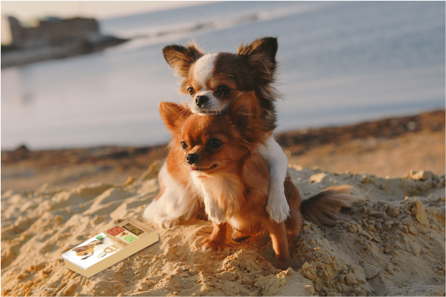 C'est l'heure du goûter avec CARREFOUR COMPANINO ! 