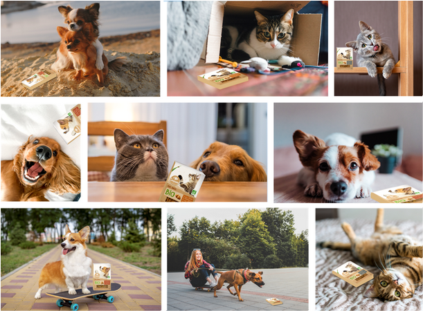 Jusqu’où sont-ils prêts à aller pour avoir une friandise CARREFOUR COMPANINO Naturally ?