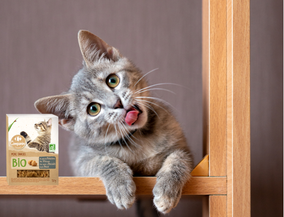 Montre-nous que tu connais ton animal mieux que quiconque !