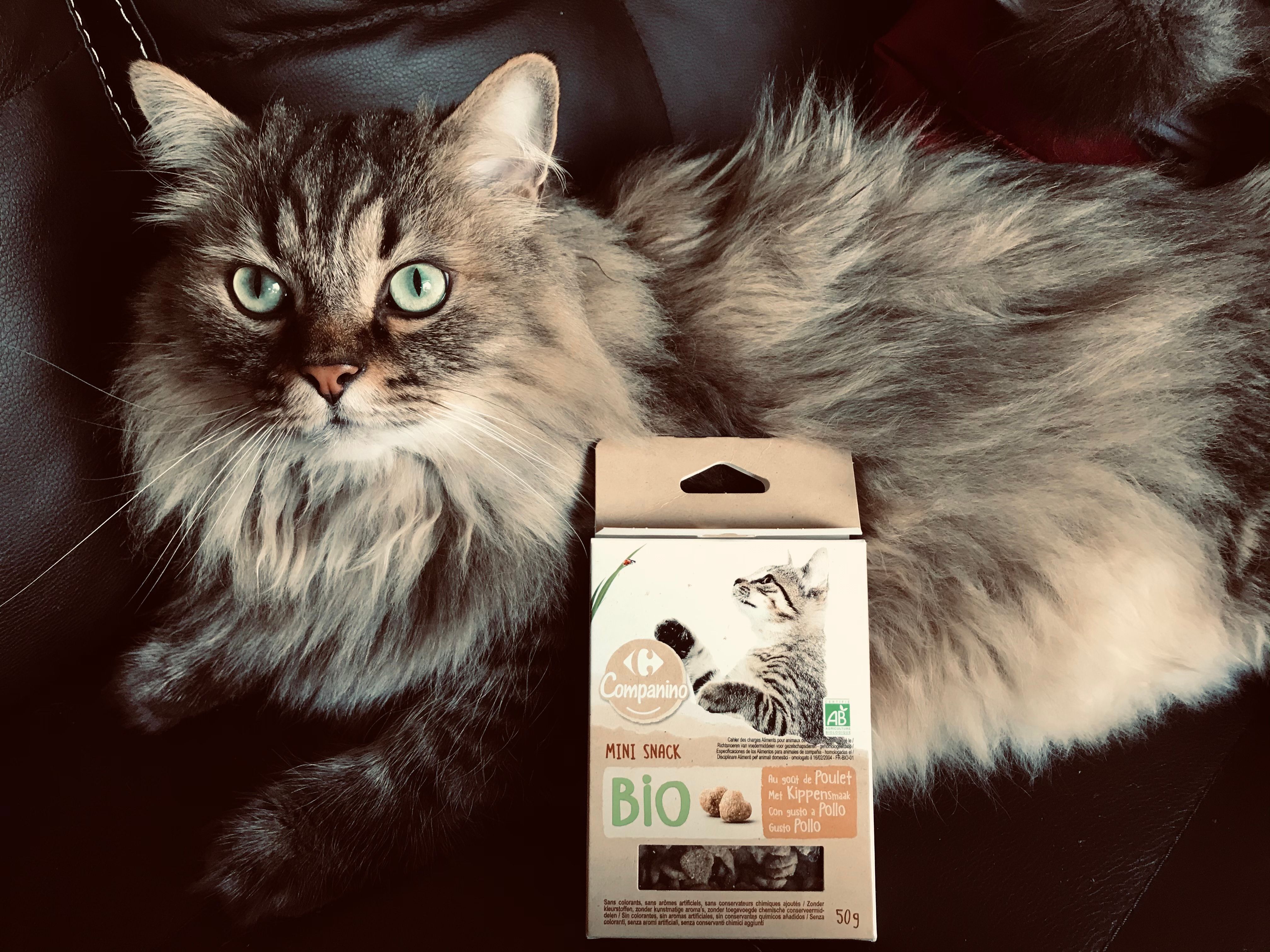 Un grand MERCI plein de vitalité ! 