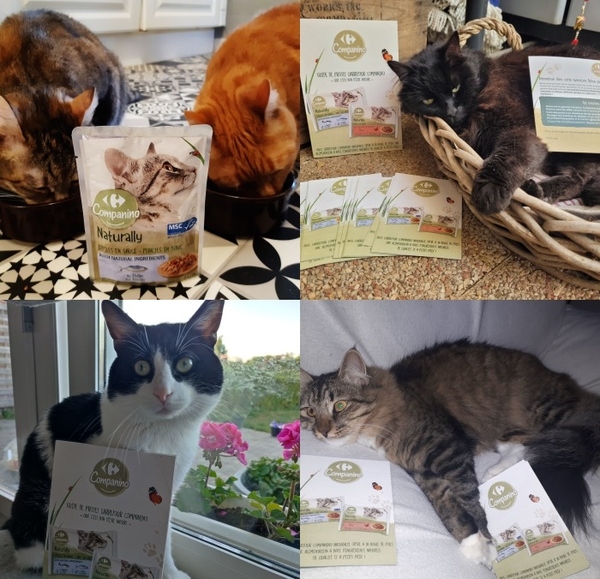 Carrefour Companino Naturally