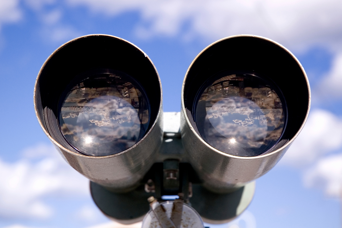 Explorateurs gustatif