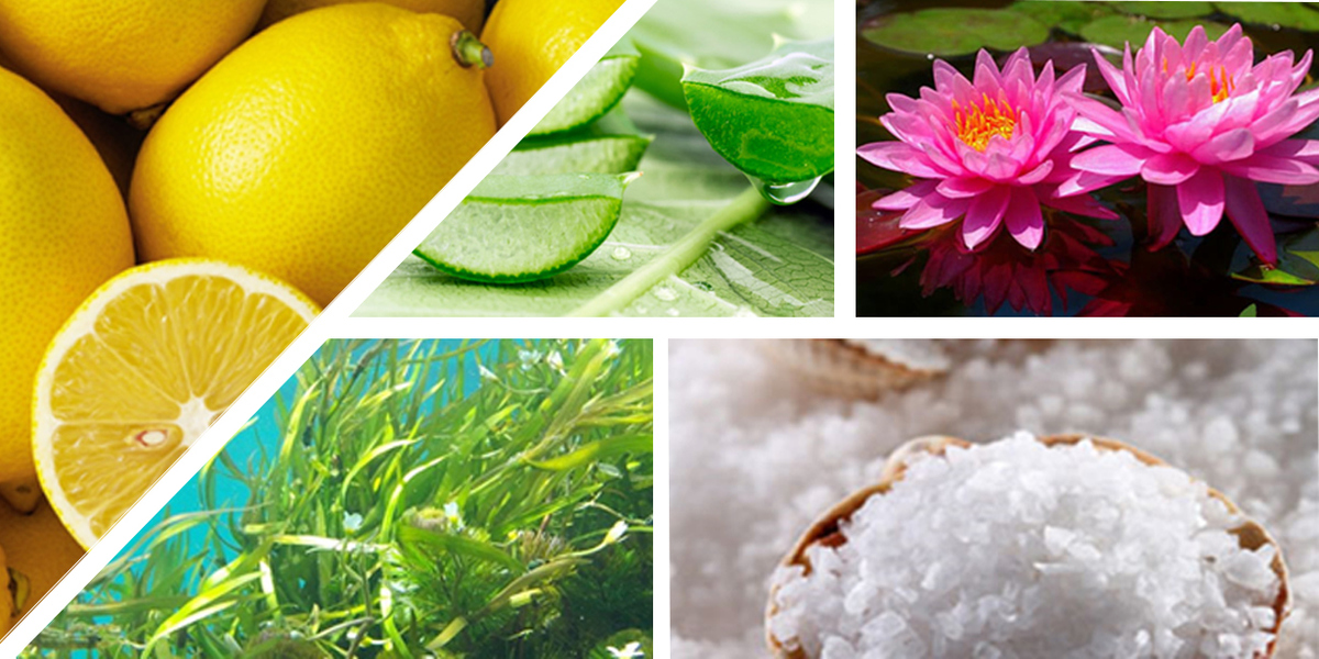 dentifrices_ingredients