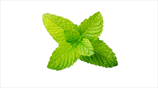 Aromatisé à la menthe, le dentifrice ELGYDIUM Protection Caries procure une agréable sensation de fraîcheur.