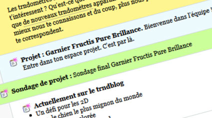 trnd_Garnier-Fructis-Pure-Brillance_sondage final