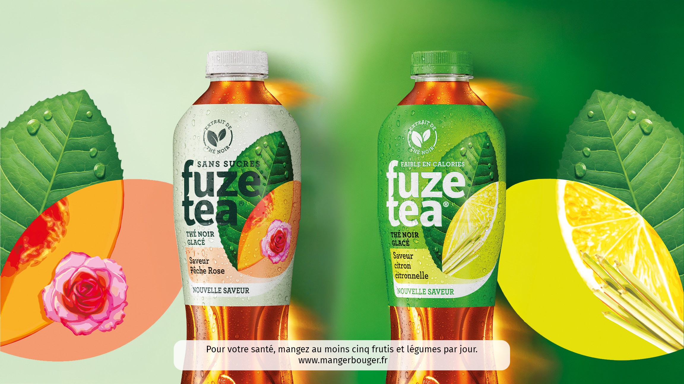 Bienvenue dans l’aventure Fuze Tea !