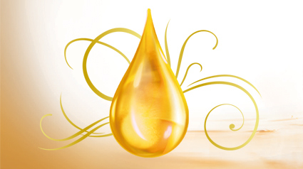 Garnier Huile Beaute Absolue huiles precieuses