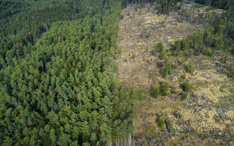 Génération sans tabac