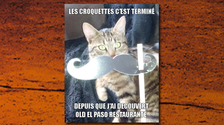 les-croquettes-cest-termine