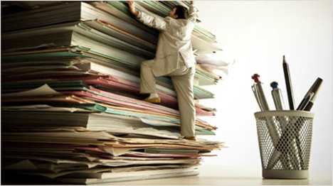 trnd-marketing-participatif-bouche-à-oreille-eveil-nature-pratic-box