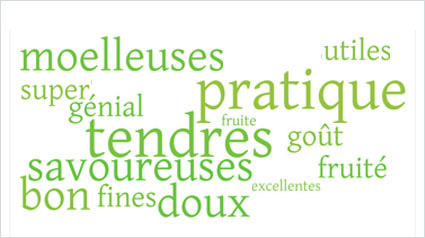 trnd-fr_leerdammer_tranches_avis-consommateur-gout