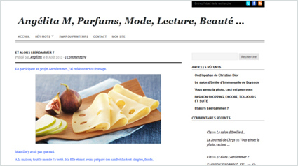 trnd-fr_leerdammer_tranches_avis_consommateurs-web